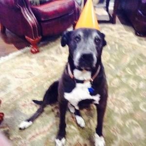 Meet your Posher, Anthony